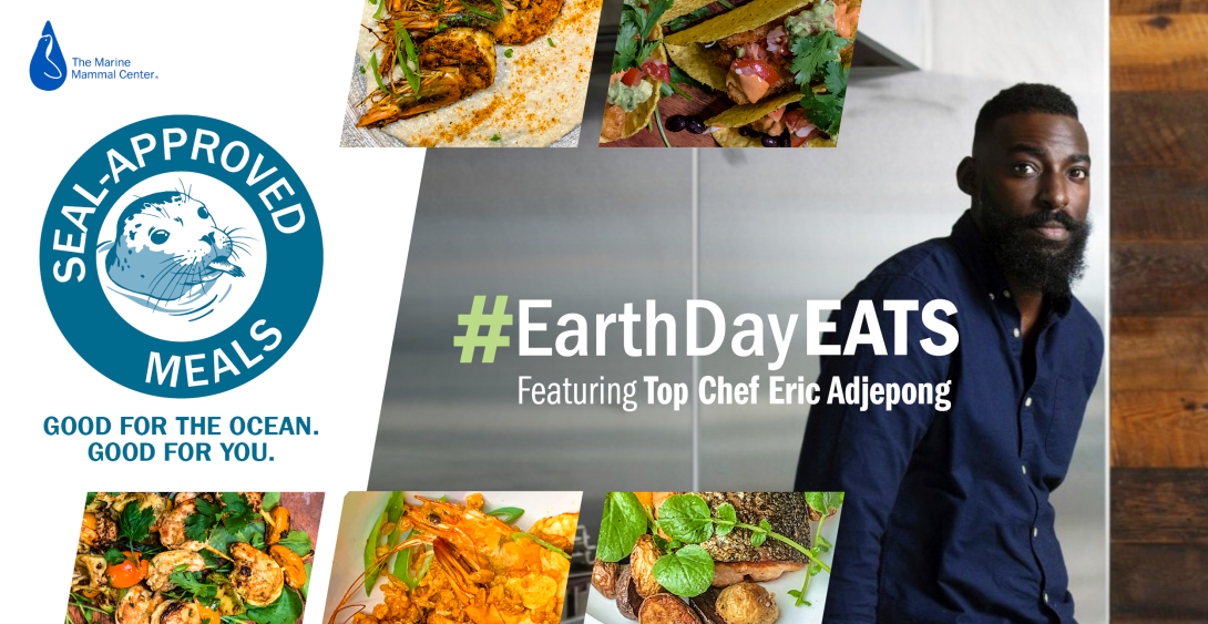 Earth Day Eats